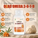 vittum-sea-buckthorn-tablets-ladakh-orig-71gV-yK8xRL.jpg