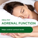 emerald-labs-adrenal-health---stress-rel-3.jpg