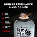bigmuscles-nutrition-real-mass-gainer-ri-61qE6J9KYeL.jpg