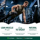 myherb-plant-protein-powder-pea-and-brow-81qTCHeEOeL.jpg