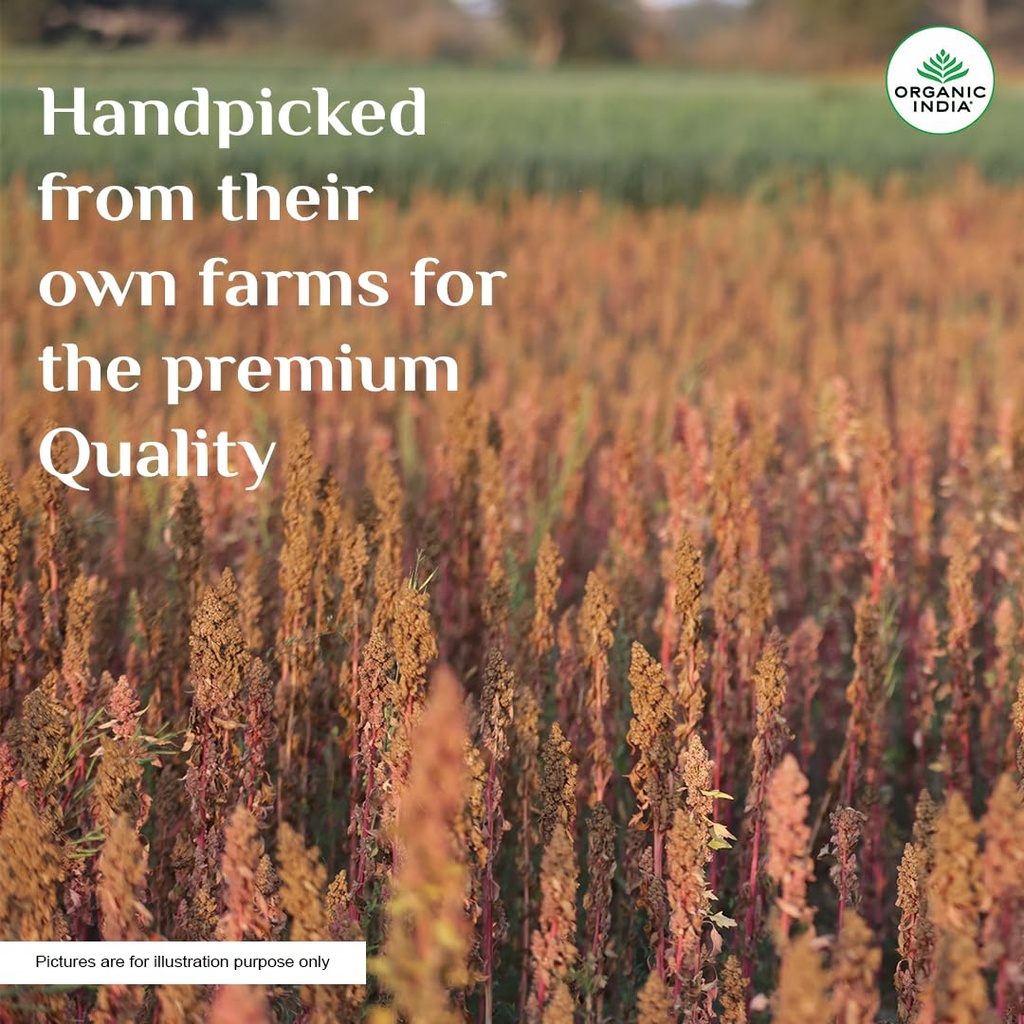 a-tata-product-organic-india-quinoa-500g-71ENeuStLdL.jpg