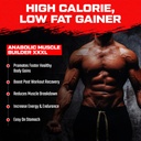 anabolic-muscle-builder-xxxl-mass-amplif-71LYh+7hHhL.jpg