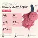 happy-cultures-24g-tastiest-plant-protei-81YR8I7AvoL.jpg