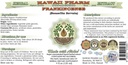 frankincense-alcohol-free-liquid-extract-2.jpg