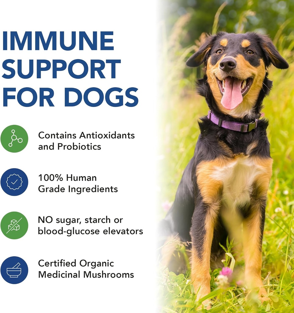 k9-medicinals-daily-dog-immune-support-m-3.jpg
