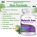 ayurvedic-omega-3-fish-oil-capsules-high-71XkWDW1UDL.jpg