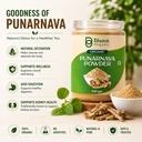 ayurveda-punarnava-powder-340-gm-71GFemRZJmL.jpg