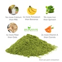 shudh-online-moringa-leaves-powder-organ-71HJu-75UNL.jpg