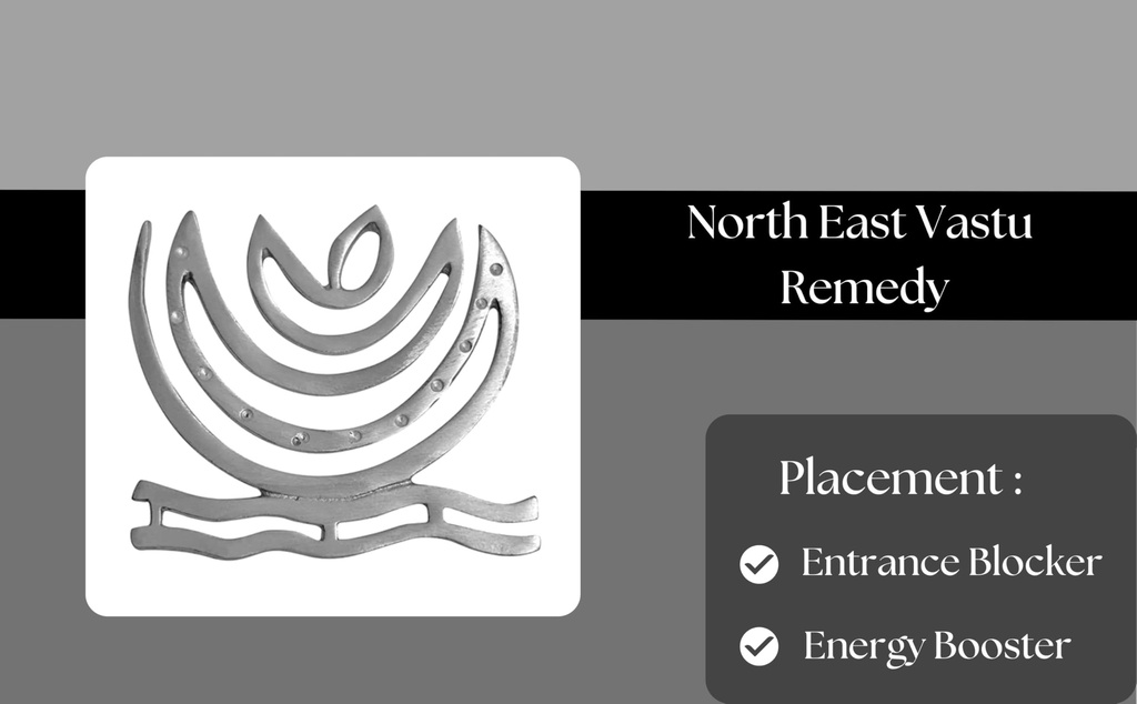 vastu-zinc-helix-for-vastu-remedy-vastu--61VTJSkL1HL.jpg