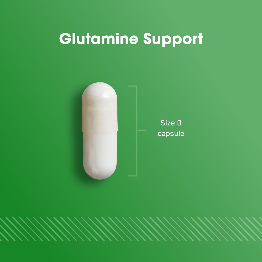 optimum-nutrition-l-glutamine-muscle-rec-61gBG68yvhL.jpg