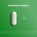optimum-nutrition-l-glutamine-muscle-rec-61gBG68yvhL.jpg