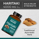 haritaki-tablet-4000mg-90-count-ayurvedi-81CgiSFvkrL.jpg