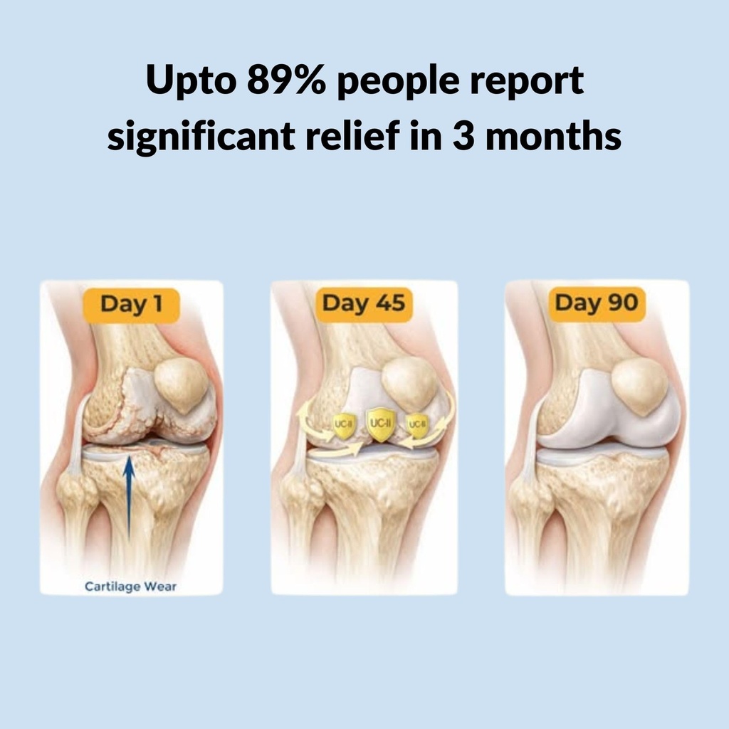 zanskar-joint-support-supplement-60-tabl-717yVFUp+hL.jpg