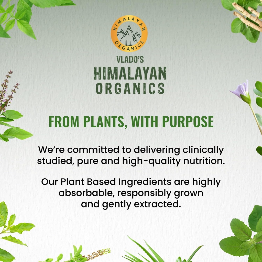 vlado-s-himalayan-organics-plant-based-b-71TJI5IEB9L.jpg