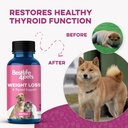 weight-thyroid-support-for-dogs-and-cats-5.jpg