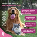 weight-thyroid-support-for-dogs-and-cats-6.jpg