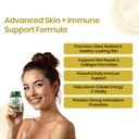 vlado-s-himalayan-organic-plant-based-zi-71Q0kUf1k0L.jpg