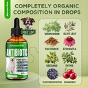 natural-antibiotics-for-dogs-dog-antibio-3.jpg