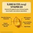 naturewise-vitamin-d3-5000iu-supplement--81aP8Ut6rmL.jpg