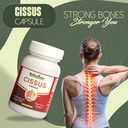 cissus-capsules-by-rajasthan-aushdhalaya-71inDwkSWPL.jpg