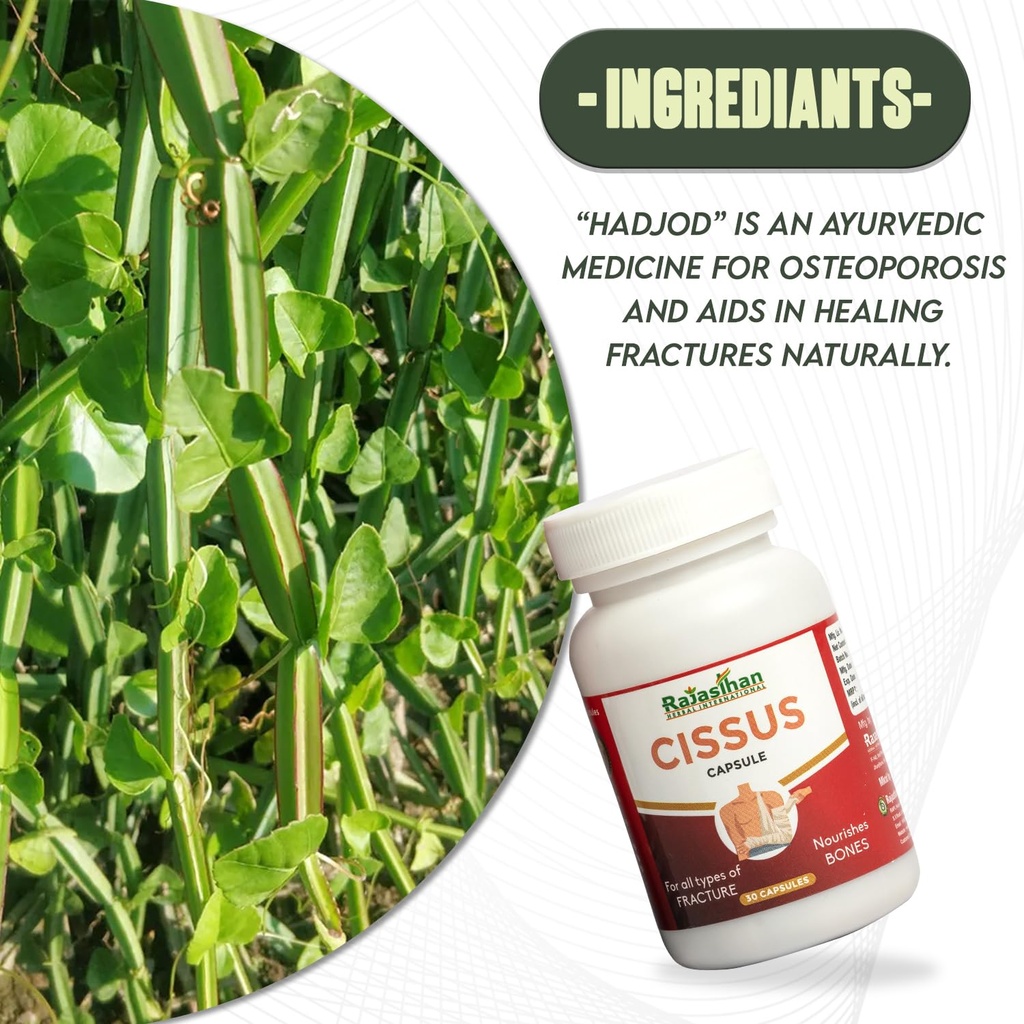 cissus-capsules-by-rajasthan-aushdhalaya-71OnhYR7mDL.jpg