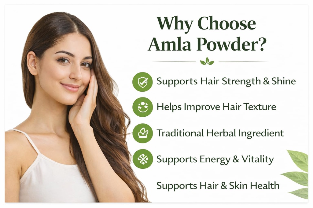 pulendra-amla-powder-100g-natural-nellik-6128nMYoYoL.jpg