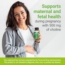 nested-naturals-choline-bitartrate-500mg-81vB89OL8eL.jpg