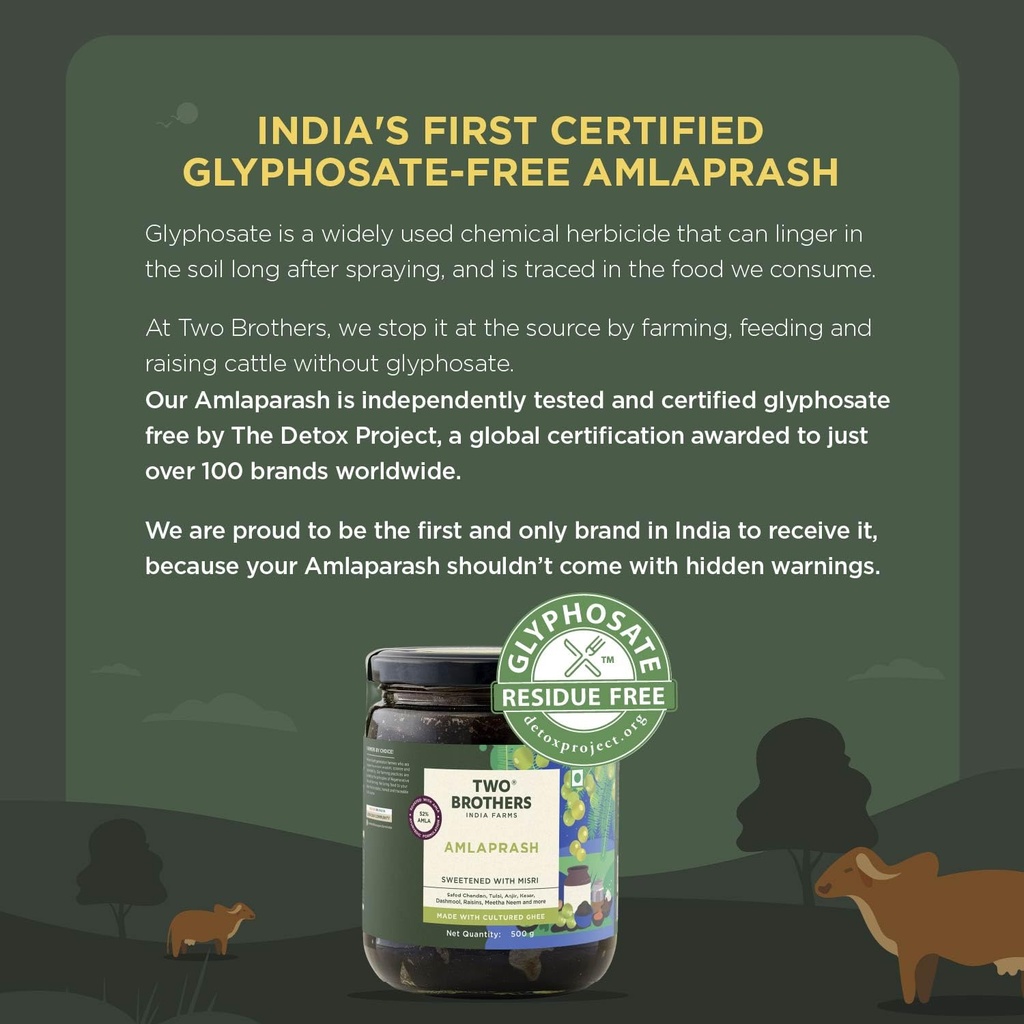 two-brothers-india-farms-amlaprash-500-g-71m4QGwjIjL.jpg