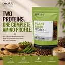osoaa-plant-based-protein-powder-coffee--81OZOsm9qqL.jpg