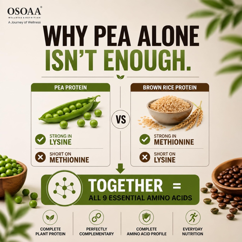 osoaa-plant-based-protein-powder-coffee--71t+vTC3BwL.jpg