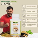 jeena-sikho-put-on-weight-gain-capsules--71xp3SIt8IL.jpg