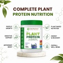 pure-nutrition-plant-protein-powder-vega-61-VMDh9fcL.jpg