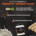 nutrela-sports-mass-gainer-protein-powde-6137x9MSjCL.jpg