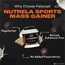 nutrela-sports-mass-gainer-protein-powde-61JPwLmzjgL.jpg