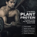 foodstrong-pea-protein-powder-higher-abs-81SO+XzAioL.jpg