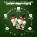 dharishah-ayurveda-organic-moringa-table-71rOOzUy70L.jpg