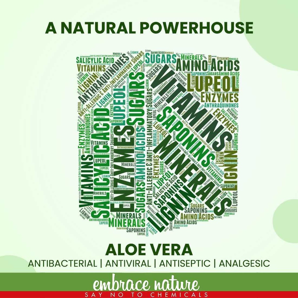 nature-sure-aloe-vera-leaf-powder-200g-w-71qjznM7-1L.jpg