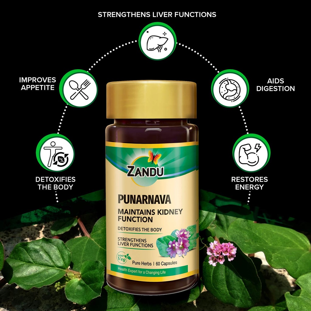 zandu-punarnava-capsules-with-goodness-o-71zy+yzf3UL.jpg