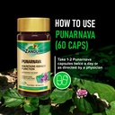 zandu-punarnava-capsules-with-goodness-o-71urYBk3FXL.jpg