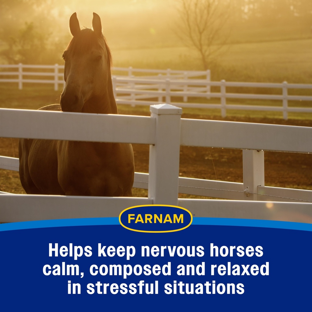 farnam-quietex-ii-pellets-daily-horse-ca-81umtEC8vkL.jpg