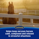 farnam-quietex-ii-pellets-daily-horse-ca-81umtEC8vkL.jpg