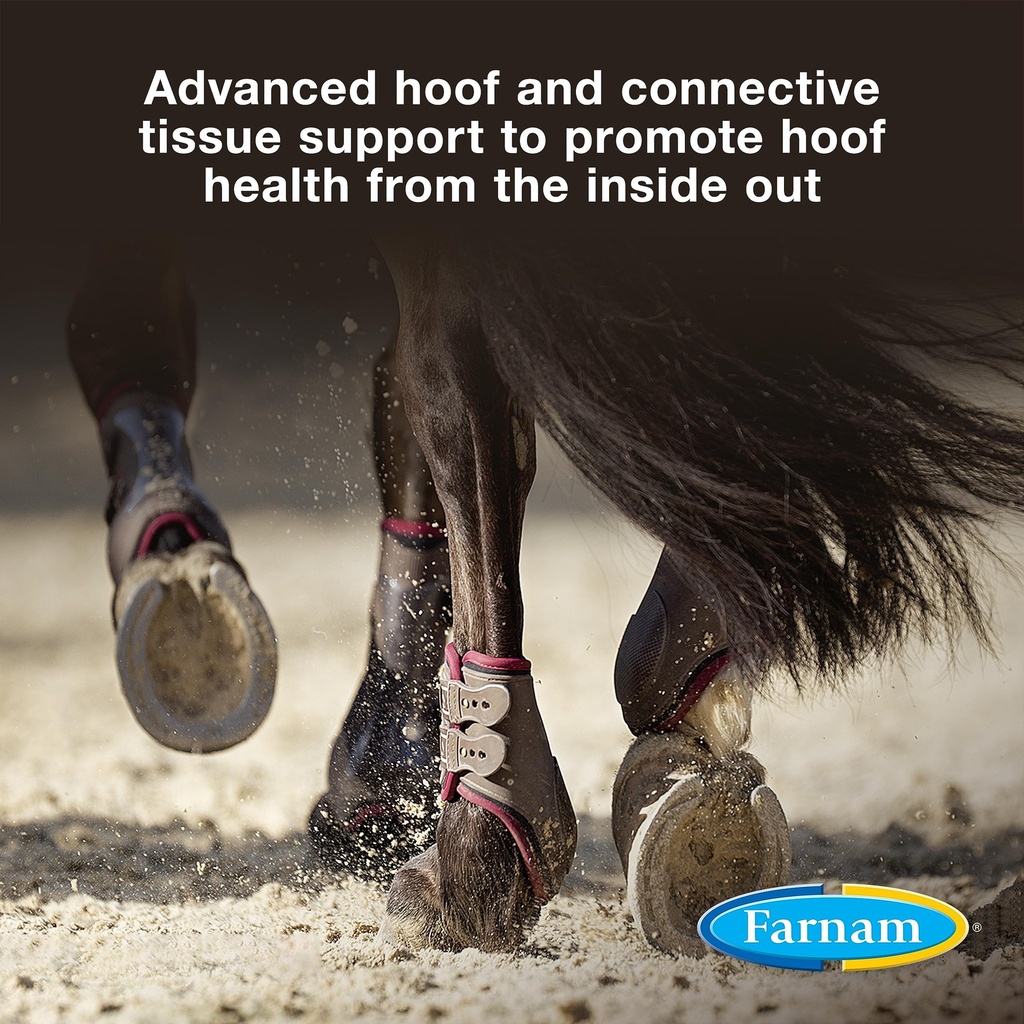 farnam-horseshoer-s-secret-extra-strengt-91aRmY8+aNL.jpg