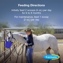 farnam-horseshoer-s-secret-extra-strengt-91FxQT4RRcL.jpg