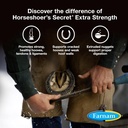farnam-horseshoer-s-secret-extra-strengt-81bO3E+rQcL.jpg