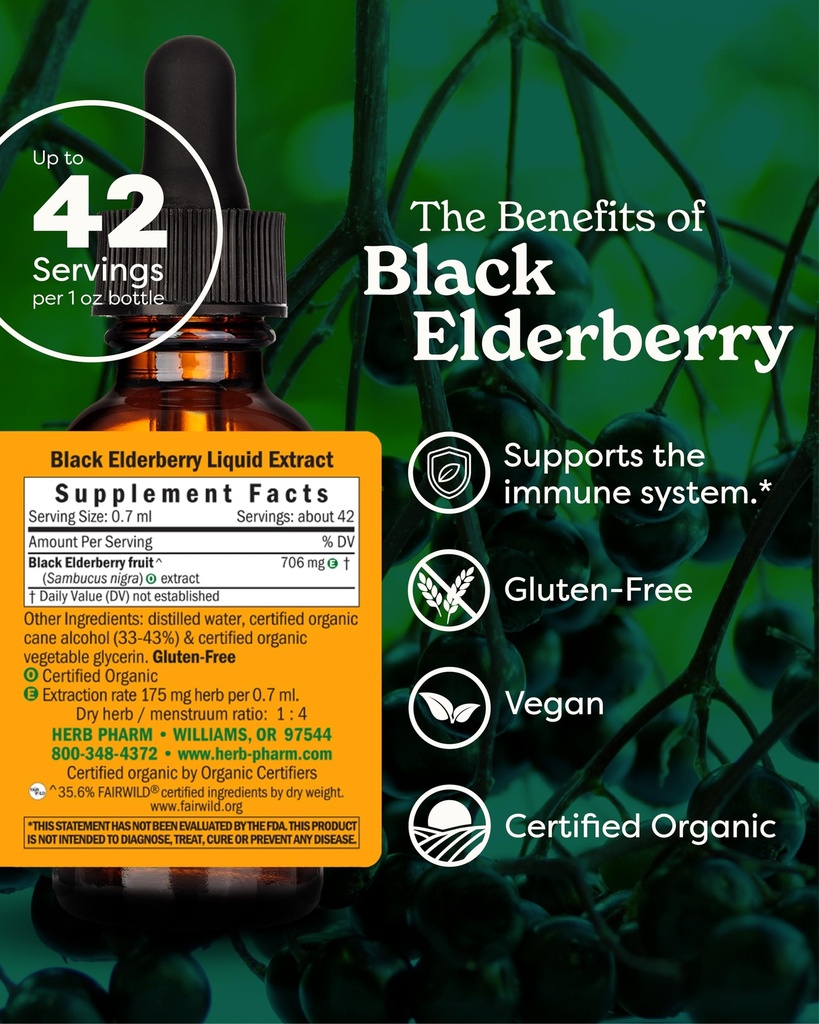 herb-pharm-certified-organic-black-elder-81mG9nvzx0L.jpg