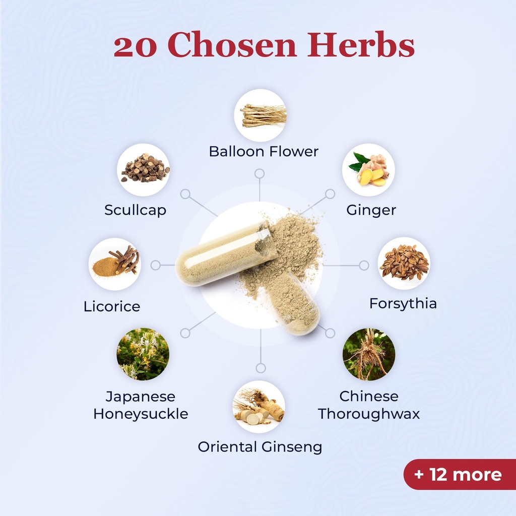 ohco-cold-snap-chinese-herbal-supplement-71h1T2A473L.jpg