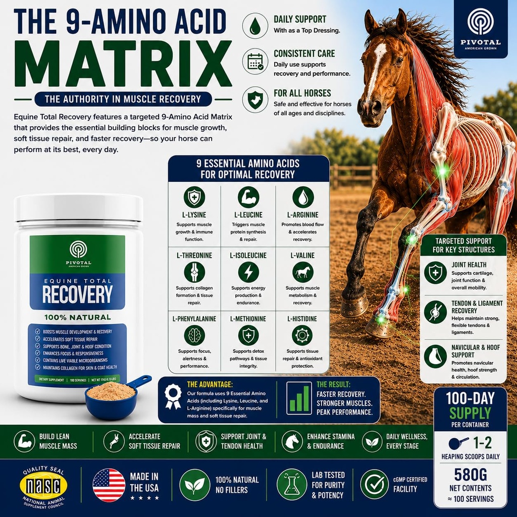pivotal-feeds-equine-total-recovery-supp-81OYP3UpMJL.jpg