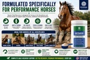 pivotal-feeds-equine-total-recovery-supp-81EY1NR3eDL.jpg