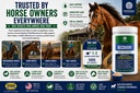 pivotal-feeds-equine-total-recovery-supp-81mAbJAejAL.jpg