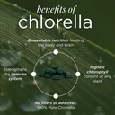 recoverybits-organic-chlorella-tablets-p-81ukwNwowbL.jpg